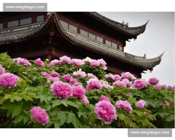 以国色芳华为引探寻千年文化瑰宝与东方美学的传承之韵 以国色芳华为引探寻千年文化瑰宝与东方美学的传承之韵