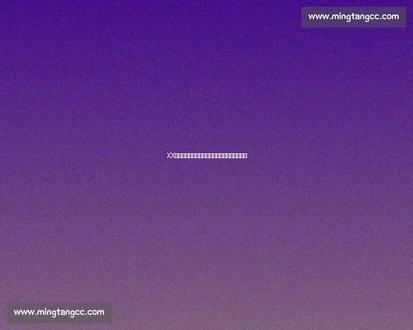 XX队夺得超级碗冠军！这场胜利，注定载入史册！