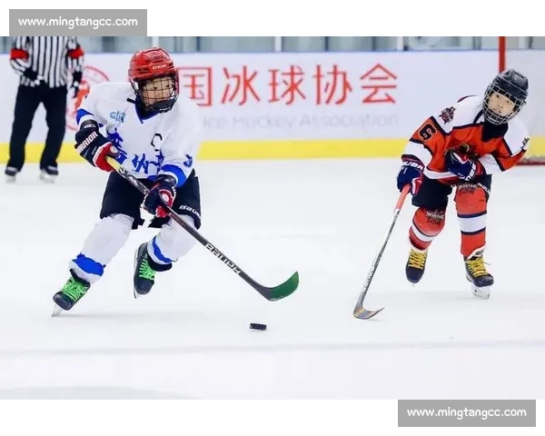 冰球世界赛事榜：巅峰对决，见证冰球运动的无限可能！