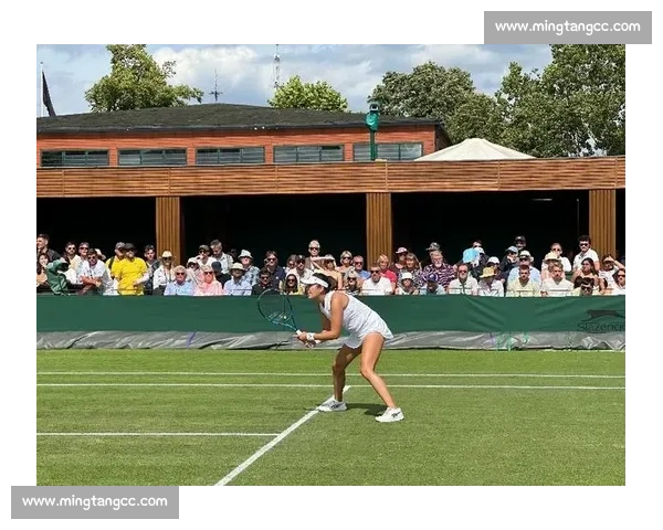 赛事前瞻！温网赛程亮点解析，实力与运气谁能胜出