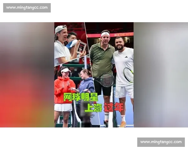 那些年，我们一起追的网球明星，如今安在